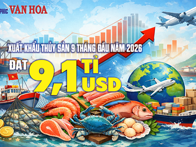 9,1 tỉ USD thủy sản: Thị trường nào bất ngờ tăng mua 33%?