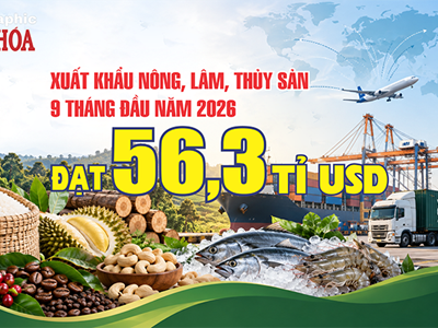 Trung Quốc mua 24,4% hàng nông, lâm, thủy sản Việt, tăng 18,9%