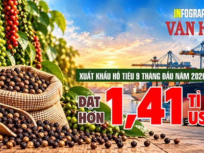 1,41 tỉ USD xuất khẩu hồ tiêu: Mỹ đang hút hàng Việt ra sao?