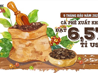 Xuất khẩu cà phê tăng lượng, giá bình quân giảm gần 20%