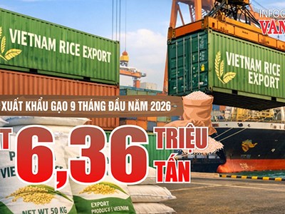 Xuất khẩu gạo: Kim ngạch giảm nhanh hơn sản lượng
