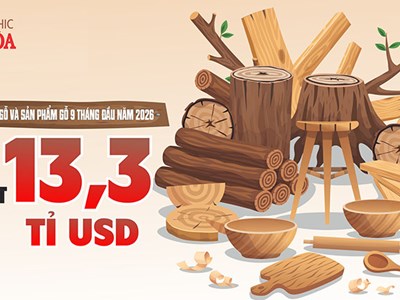 Xuất khẩu gỗ Việt Nam đạt 13,3 tỉ USD, Trung Quốc tăng mạnh