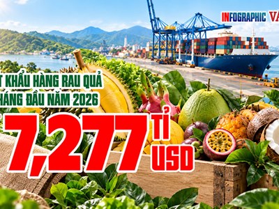 Xuất khẩu rau quả giảm 17,8%, Trung Quốc chiếm gần 65%