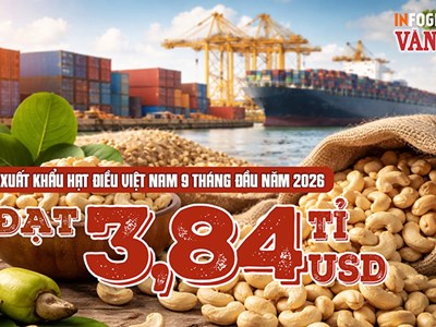 Trung Quốc mua gần 1 tỉ USD hạt điều Việt Nam, tăng 20,9%