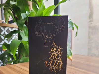 Tại sao những người từng tổn thương lại đồng cảm mạnh mẽ với “Chúng ta rực rỡ từ những vụn vỡ?”