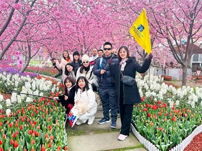 Cần kế hoạch dài hạn