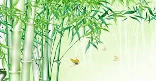  Từ cây tre Việt Nam…