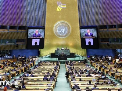 Sức bật và vị thế Việt Nam