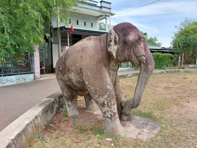 Ngà trên Voi Hậu - Biểu tượng quyền lực và tư duy nghệ thuật Chăm Pa