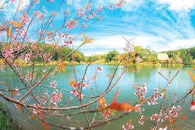  “Mùa Xuân tinh thần” bước vào kỷ nguyên mới 