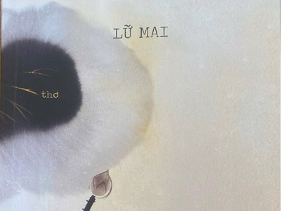 Lữ Mai đưa nhau về cũ