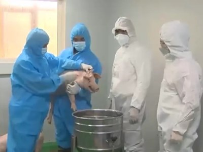 Báo động đỏ trên 30 tỉnh