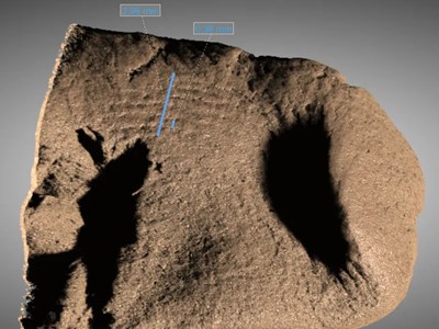 Những bí ẩn lịch sử được khoa học giải đáp trong năm 2025