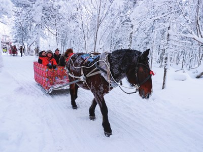 Giới trẻ Trung Quốc trả tiền để… “bị lưu đày” giữa băng tuyết