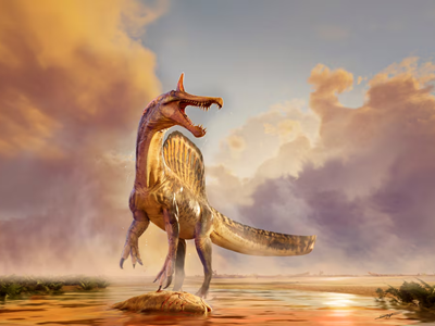 Phát hiện loài khủng long khổng lồ mới tại Niger