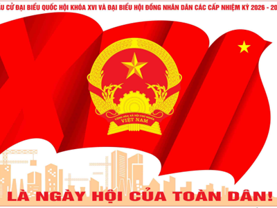  Lá phiếu, khi quyền làm chủ trở thành giá trị văn hóa 