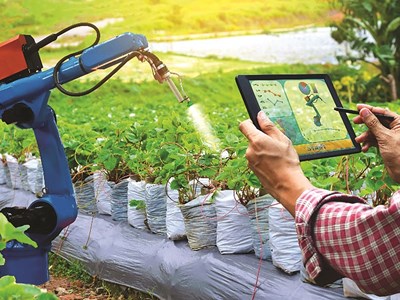 Xu hướng ứng dụng ngân hàng số và công nghệ vào chuỗi cung ứng nông sản