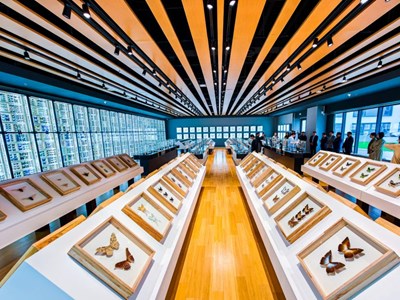 Bên trong Bảo tàng Côn trùng lớn nhất Bắc Kinh