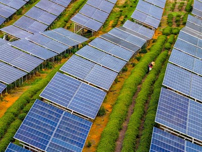 Điện mặt trời bứt tốc, mở ra “kỷ nguyên tăng trưởng xanh”