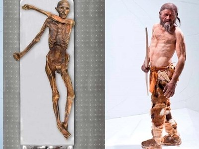 Phát hiện “thế giới sống” bên trong xác ướp 5.300 năm tuổi