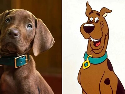Chú chó Scooby-Doo trong phiên bản phim người thật đóng gây tranh cãi