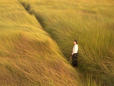 Từ điểm hẹn điện ảnh đến không gian kết nối sáng tạo