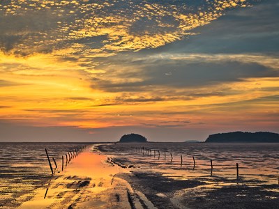 UNESCO mở rộng Di sản Thế giới bãi triều Getbol của Hàn Quốc