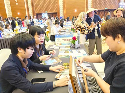 Cầu nối giữa thị trường với điểm đến