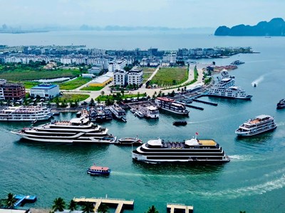Kỳ 1 - Kỳ vọng từ những đột phá