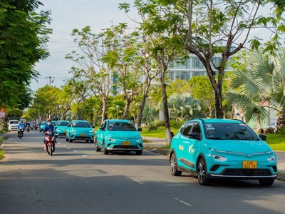 GSM triển khai chương trình “Mùa hè Xanh vì Tương lai xanh“