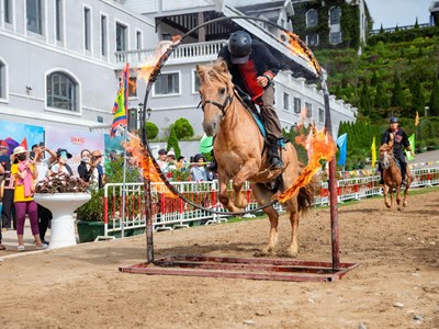 Du khách trầm trồ trước màn biểu diễn ngựa xuyên vòng lửa tại Fansipan