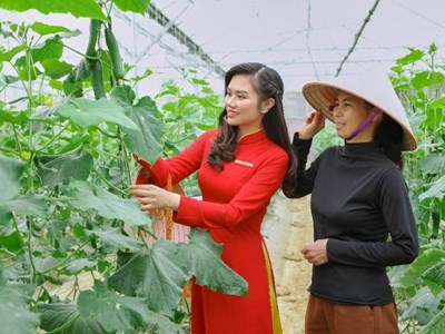Cam kết và thực trạng triển khai ESG tại Agribank