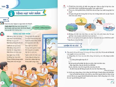 Thấy gì từ cuộc tranh luận về bài thơ Tiếng hạt nảy mầm?