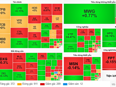 Chứng khoán phiên 5.11: VN-Index phục hồi nhưng thanh khoản vẫn ảm đạm