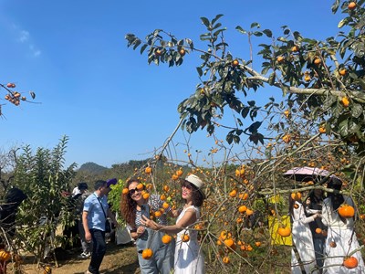 Thác mây, vườn hồng đậm vị cao nguyên