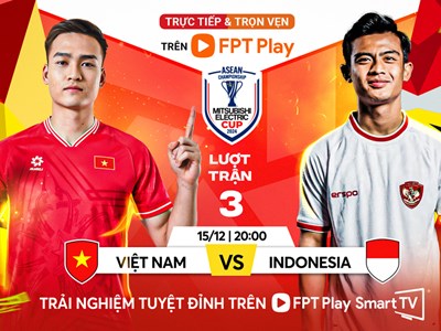Link xem trực tiếp trận đấu Việt Nam vs Indonesia, ASEAN Cup 2024