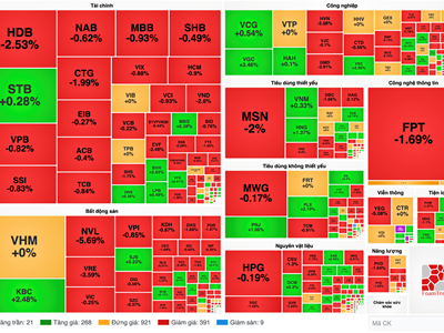 Chứng khoán phiên 14.1: VN-Index thủng mốc 1.230 điểm