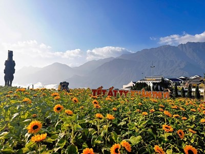 Muôn hoa khoe sắc, Fansipan mùa xuân đẹp tựa miền cổ tích