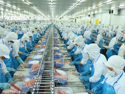 Vĩnh Hoàn (VHC) giảm kế hoạch lợi nhuận năm 2025