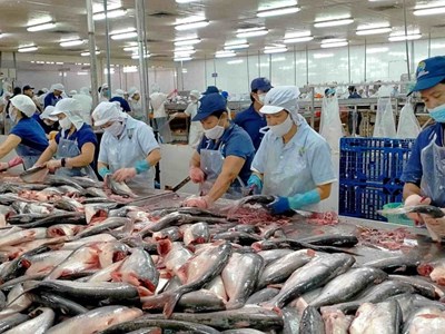 Thủy sản Nam Việt (ANV) giải thể công ty con sản xuất phân bón và hợp chất ni tơ