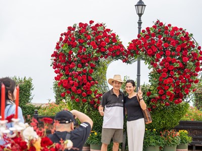 Lạc bước giữa thiên đường hoa hồng tại Sun World Ba Na Hills