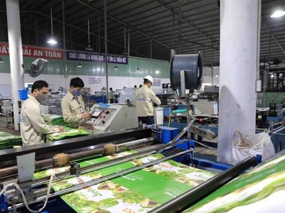 Thuận Đức (TDP) sắp chào bán hơn 22 triệu cổ phiếu cho cổ đông hiện hữu