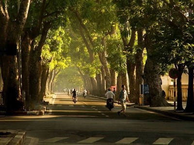 Dự báo thời tiết ngày 10.8: Hà Nội nắng nóng 36°C, tối có mưa rào, Nam Bộ mưa dông rải rác