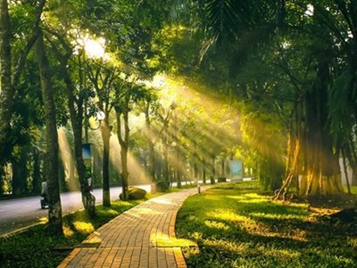 Dự báo thời tiết 21.8: Hà Nội mưa nắng đan xen, Trung Bộ có nơi nắng nóng