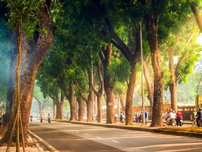 Dự báo thời tiết 3.9: Cả nước chủ yếu nắng, chiều tối nhiều nơi có mưa