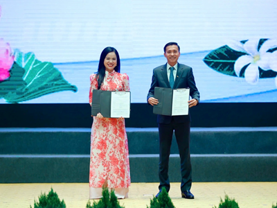 T&T Group hoàn thành đường dây truyền tải điện gió Savan 1 về Việt Nam trước thềm Đại lễ A80