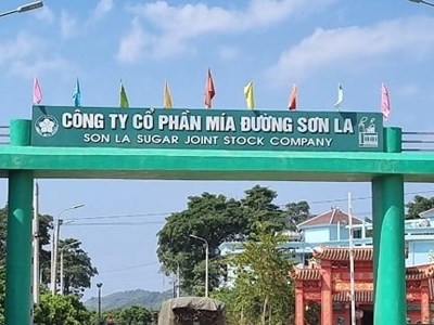 Mía đường Sơn La (SLS) sắp chia cổ tức 150% bằng tiền