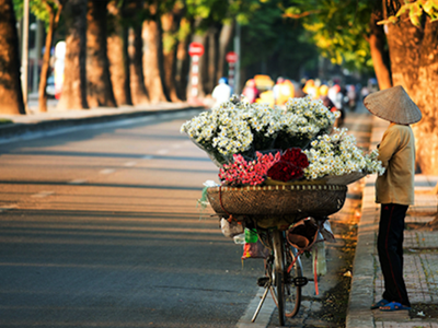 Dự báo thời tiết 2.10 Hà Nội ngày nắng, Nam Bộ mưa dông