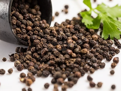 Giá tiêu hôm nay 26.10: Ổn định sau đợt giảm mạnh