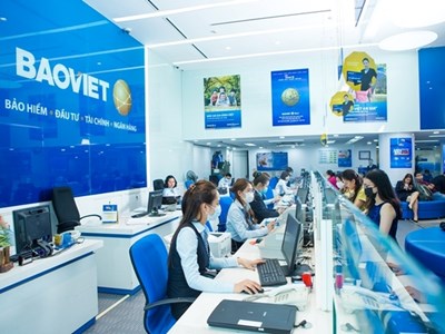 Tập đoàn Bảo Việt (BVH) chi trả cổ tức năm 2024 bằng tiền mặt, tỉ lệ 10,551%